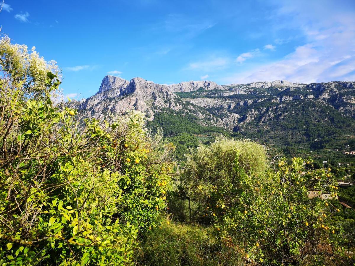Villa Ideal Sóller Buitenkant foto